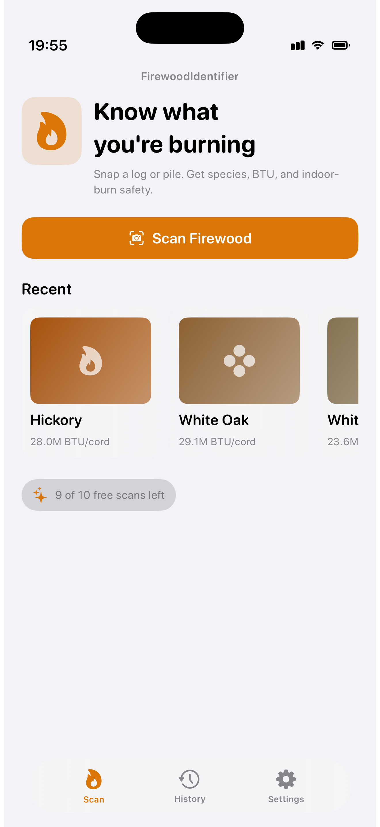 FirewoodIdentifier dashboard — scan firewood and see recent species