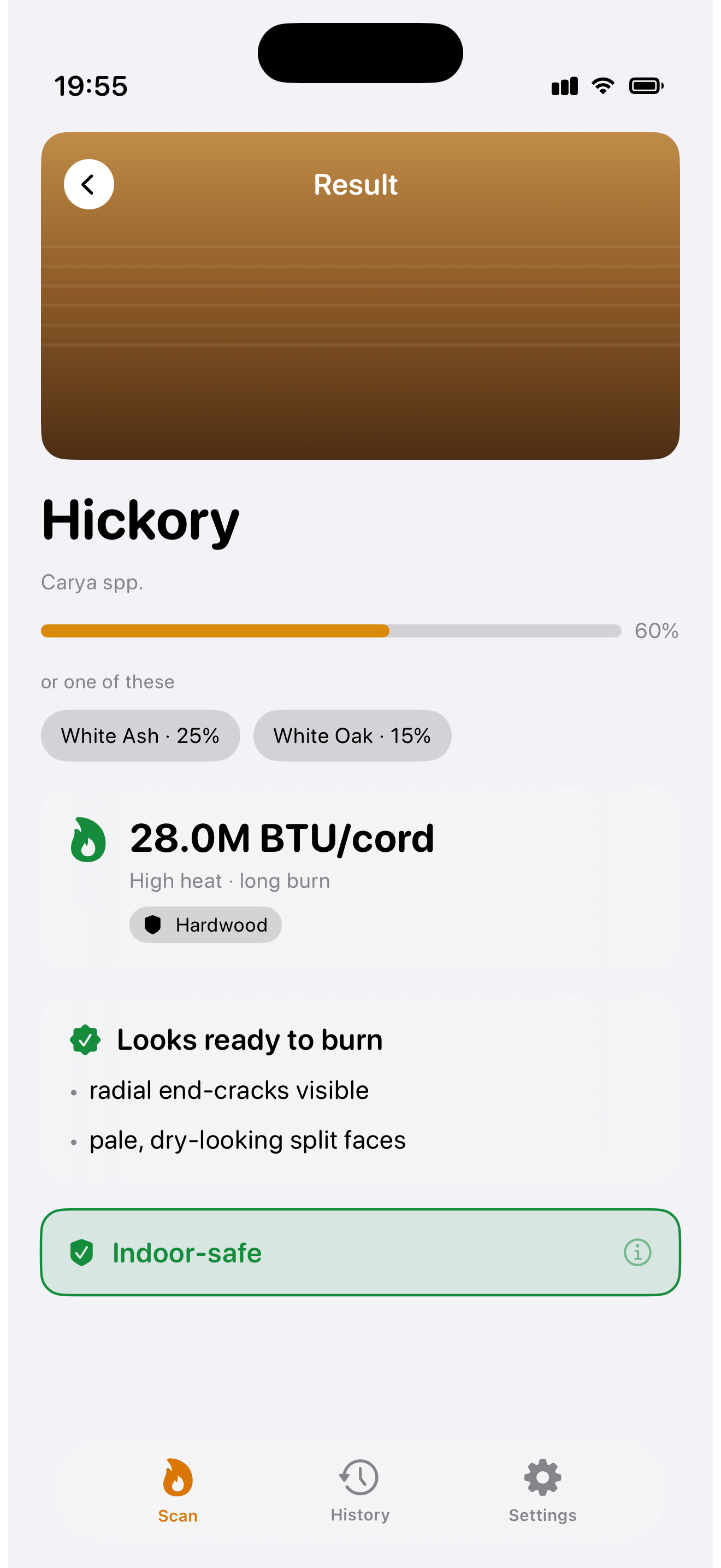 FirewoodIdentifier result — Hickory with BTU, seasoning, and indoor-safe verdict