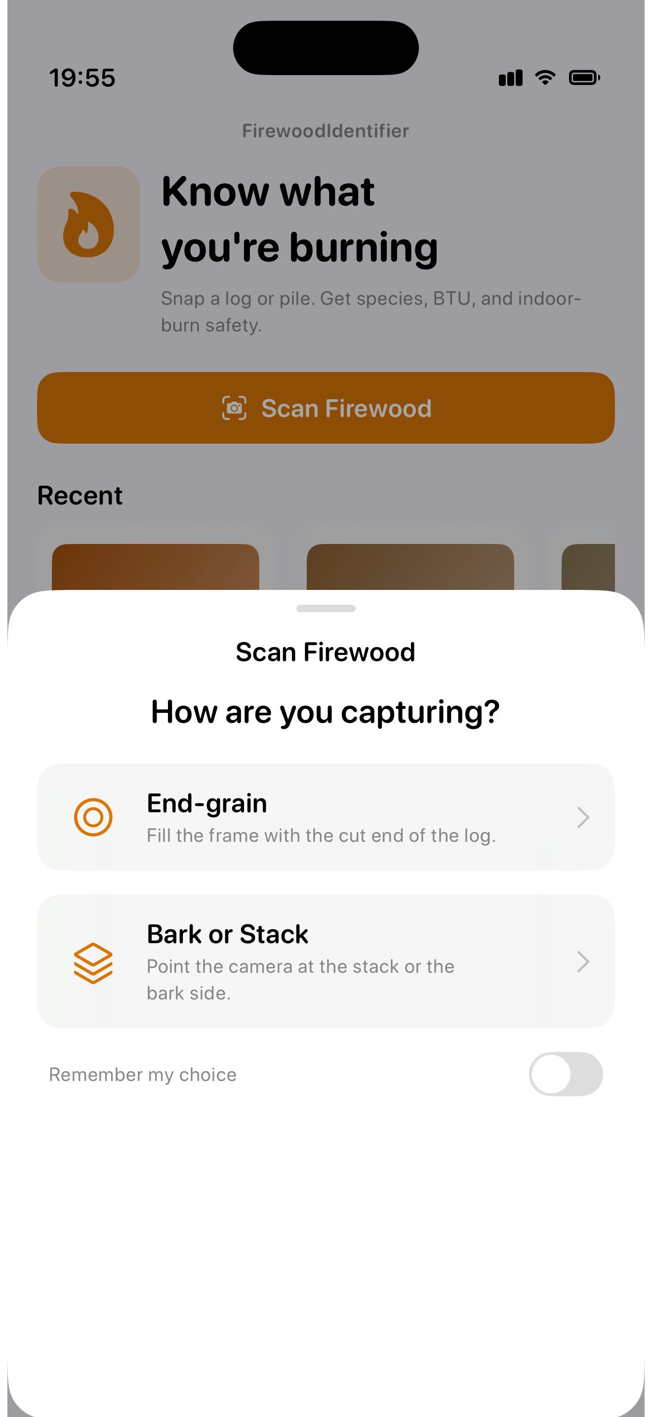 FirewoodIdentifier input mode picker — end-grain or bark/stack